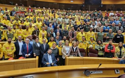 Aprobada la Ley del Estatuto Básico de Bomberos Forestales