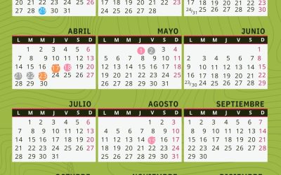 CALENDARIO 2025 DE LA MADERA DE ZARAGOZA