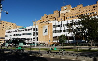 Denunciamos la falta de medidas de prevención por el uso del formaldehido en el Hospital Miguel Servet